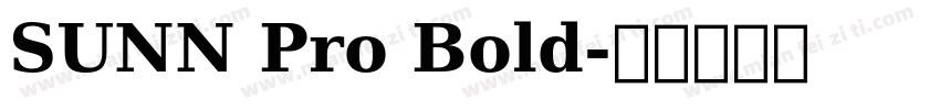 SUNN Pro Bold字体转换